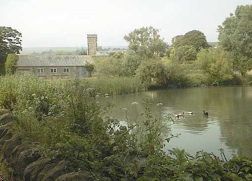aut1020newforestwaterscen.jpg 33.5K