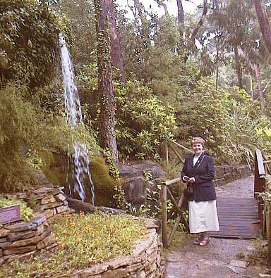 aut1105cherylingardens01.jpg 47.6K