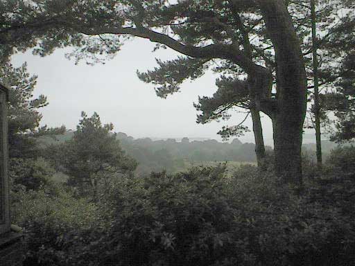 aut1112landscapewithtreei.jpg 33.8K
