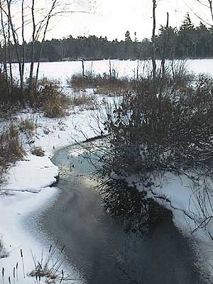 aut_1863_pondsnowscene2.jpg 27.5K