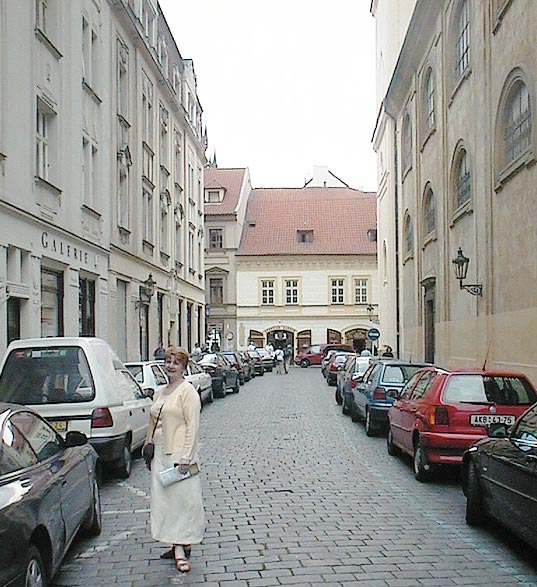 aut_0457_cherylinstreetscen.jpg 80.9K