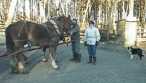 aut_1703_cheryltrainerhorse.jpg 34.3K